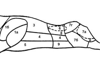 Схема разделки говяжьей туши