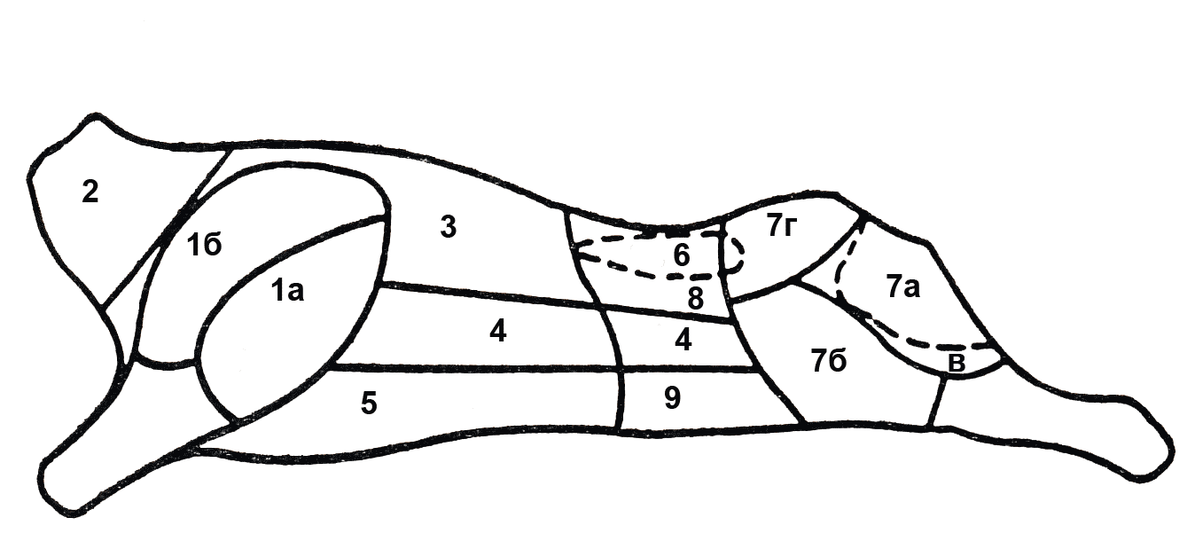 Говяжья полутуша схема разделки. Схема разделки бараньей туши. Схема разруба туши баранины. Схема разделывания говяжьей туши. Баранья туша схема разделки.